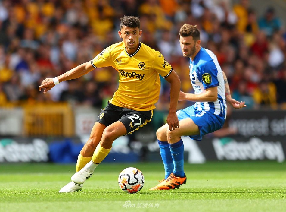 这个赛季一 这个赛季一